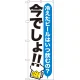 のぼり旗 ビール 今でしょ!! (SNB-1322) ビール