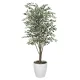 光触媒 人工観葉植物 造花 ベンジャミンツリー斑入り 1.6 (高さ160cm) (153Ｋ430) 160cm