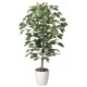 光触媒 人工観葉植物 造花 ベンジャミン 1.0 (高さ100cm) (200A150) 100cm