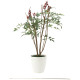 光触媒 人工観葉植物 造花 南天70 (高さ70cm) (2012Ｋ80)