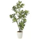 光触媒 人工観葉植物 造花 シェフレラ1.15 (高さ115cm) (2027A180) 115cm