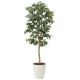 光触媒 人工観葉植物 造花 アルデシア(万両)1.3 (高さ130cm) (2033A200)