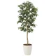 光触媒 人工観葉植物 造花 アルデシア(万両)1.3 (高さ130cm) (2033A200) 130cm