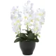 光触媒 人工観葉植物 造花 胡蝶蘭セリースW (高さ66cm) (20K120) ホワイト