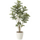 光触媒 人工観葉植物 造花 アルテシマDX1.6 (高さ160cm) (2212R400)
