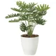 光触媒 人工観葉植物 造花 フレッシュクッカバラ   (高さ45cm) (2216A50) 45cm