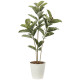 光触媒 人工観葉植物 造花 アルテシマ1.2 (高さ120cm) (2221R210)