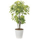 光触媒 人工観葉植物 造花 ペリーラ1.0 (高さ100cm) (2225A150)