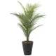光触媒 人工観葉植物 造花 パームツリー95(ポリ製) (高さ95cm) (2236A135) 95cm
