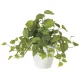 光触媒 人工観葉植物 造花 フレッシュポトス (高さ36cm) (2252A50) 36cm