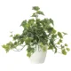 光触媒 人工観葉植物 造花 フレッシュ斑入りアイビー (高さ36cm) (2253A50) 36cm