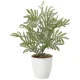 光触媒 人工観葉植物 造花 ねむの木(ポリ製) (高さ50cm) (2254A50) 50cm