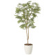 光触媒 人工観葉植物 造花 ねむの木1.3(ポリ製) (高さ130cm) (2259A200)