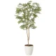 光触媒 人工観葉植物 造花 ねむの木1.3(ポリ製) (高さ130cm) (2259A200) 130cm