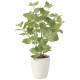 光触媒 人工観葉植物 造花 ペリーラ70 (高さ70cm) (2271K100)
