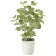 光触媒 人工観葉植物 造花 ペリーラ70 (高さ70cm) (2271K100) 70cm
