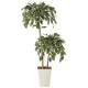 光触媒 人工観葉植物 造花 ゴールデンフィカスダブル1.2 (高さ120cm) (2282A200)