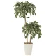 光触媒 人工観葉植物 造花 ゴールデンフィカスダブル1.2 (高さ120cm) (2282A200) 120cm