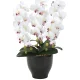 光触媒 人工観葉植物 造花 胡蝶蘭セリースW/AB (高さ66cm) (22K120) ホワイト