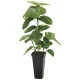 光触媒 人工観葉植物 造花 フレッシュDXスリムウンベラータ1.2 (高さ120cm) (2326A300) 120cm