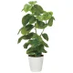 光触媒 人工観葉植物 造花 フレッシュDXウンベラータ1.3 (高さ130cm) (2327A480) 130cm