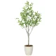 光触媒 人工観葉植物 造花 フレッシュ細葉ユーカリ1.7 (高さ170cm) (2329A500) 170cm(細葉)