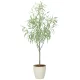 光触媒 人工観葉植物 造花 フレッシュシルバーユーカリ1.7 (高さ170cm) (2330A500) 170cm(シルバー)