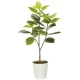 光触媒 人工観葉植物 造花 フレッシュアルテシマ1.35 (高さ135cm) (2332A310) 135cm