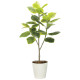 光触媒 人工観葉植物 造花 フレッシュアルテシマ1.65 (高さ165cm) (2333A350)
