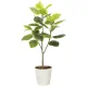 光触媒 人工観葉植物 造花 フレッシュアルテシマ1.65 (高さ165cm) (2333A350) 165cm