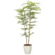 光触媒 人工観葉植物 造花 ソヨゴ1.6 (高さ160cm) (2338A380) 160cm