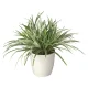 光触媒 人工観葉植物 造花 ドラセナミックス (高さ38cm) (240A70) 38cm(ミックス)