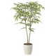 光触媒 人工観葉植物 造花 ソヨゴ1.0 (高さ100cm) (2418A190) 100cm
