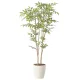 光触媒 人工観葉植物 造花 ソヨゴ1.3 (高さ130cm) (2419A230) 130cm