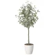 光触媒 人工観葉植物 造花 ユーカリツリー1.65 (高さ165cm) (2425A320) 165cm