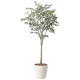 光触媒 人工観葉植物 造花 オリーブツリー1.7 (高さ170cm) (2426A310)
