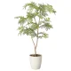 光触媒 人工観葉植物 造花 ねむの木90(ポリ製) (高さ90cm) (2428A150) 90cm