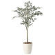 光触媒 人工観葉植物 造花 オリーブツリー1.35 (高さ135cm) (2433A220)
