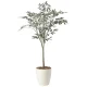 光触媒 人工観葉植物 造花 オリーブツリー1.35 (高さ135cm) (2433A220) 135cm
