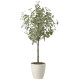 光触媒 人工観葉植物 造花 ユーカリツリー1.85(組立式) (高さ185cm) (2436A450)