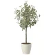 光触媒 人工観葉植物 造花 ユーカリツリー1.85(組立式) (高さ185cm) (2436A450) 185cm