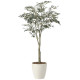 光触媒 人工観葉植物 造花 オリーブツリー1.85(組立式) (高さ185cm) (2437A450)