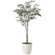 光触媒 人工観葉植物 造花 オリーブツリー1.85(組立式) (高さ185cm) (2437A450) 185cm