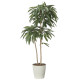 光触媒 人工観葉植物 造花 アムステルラバーキング1.6 (高さ160cm) (2439A430)