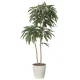 光触媒 人工観葉植物 造花 アムステルラバーキング1.6 (高さ160cm) (2439A430) 160cm