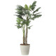 光触媒 人工観葉植物 造花 セロームW1.8 (高さ180cm) (2441A360)