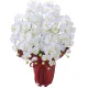 光触媒 人工観葉植物 造花 エレガント胡蝶蘭7本立W (高さ68cm) (2445A100) ホワイト