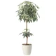 光触媒 人工観葉植物 造花 ミルキーパキラ1.6 (高さ160cm) (2456A330) 160cm