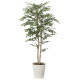 光触媒 人工観葉植物 造花 トネリコ 1.35 (高さ135cm) (2619A270)