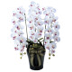 光触媒 人工観葉植物 造花 ロイヤル胡蝶蘭W/AB (高さ76cm) (310A200)